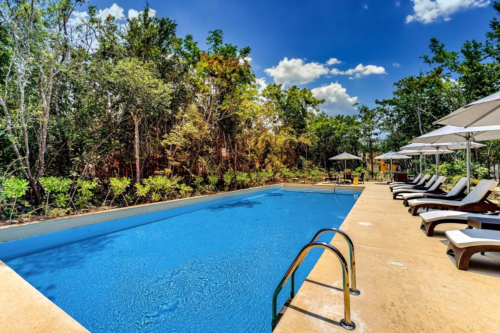 The Hibiscus House